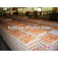 Colorful Chicken Duck Egg Cartons For Sale